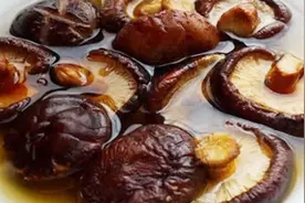 干香菇和鲜香菇，哪种食疗效果更好？营养科主任，告诉你如何选择视频封面