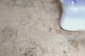 当一个家庭只有你一个人爱干净，你会被活活气死，累死，还不落好