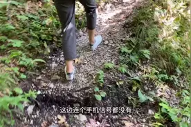 周末和朋友去慕尼黑爬山 误入没有手机信号的山路 真是太危险了视频封面