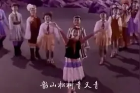 经典少儿歌舞《火车向着韶山跑》视频封面
