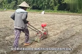 40岁阿姨发明“手推式”玉米播种机，一天播种5亩地，60元造一台视频封面
