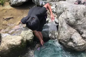 隔壁大哥来借网箱养石斑鱼，卖到上海200一斤，一上午抓了5斤多！视频封面