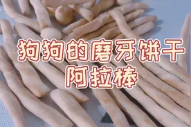 给狗狗自制磨牙饼干，成分简单健康美味特别适合给主子做小零食视频封面