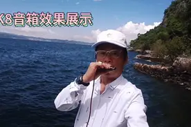 布鲁斯口琴演奏《在水一方》视频封面