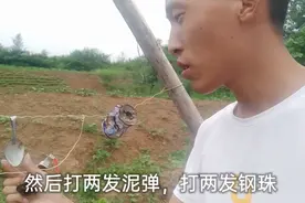 困扰弓友的疑惑，泥弹打久了换钢珠打不准？为什么？子强测试解疑视频封面