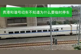 广西一个火车站附近，第一次看到动车也要临时停车，是什么原因呢视频封面