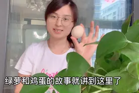 溜溜妈用鸡蛋养绿萝，不花一分钱也能让它叶肥根壮。视频封面