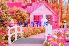 请欣赏，何时再相聚，用美丽的邂逅谱写最美的相遇！视频封面