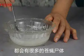 教你自制驱蝇水，直接让苍蝇自杀，效果好的不得了