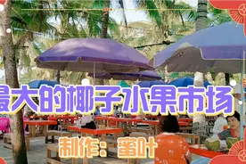 海南文昌高隆湾  最大的椰子水果批发市场，春节气氛浓厚！视频封面