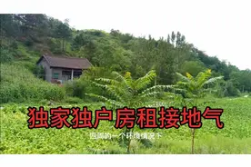 商洛山沟里独家独户的农村院子，养老隐居首选，堪比天然氧吧