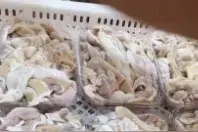 鲨鱼肚现场加工视频封面