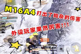 遇到使用蜂刺的敌人，M16A4竟然打出狗杂的伤害，外设玩家惹不起视频封面