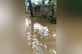 大美临沂平安河东，享受刺激、体验赶海，秀美村庄沙岭子欢迎您！视频封面