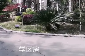 四川绵阳，园艺山，东辰学校旁边的50多万电梯房，去看看视频封面