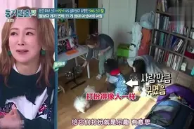 韩国明星母女早上第一件事,就是给狗狗喂饭,打扮得像人一样漂亮视频封面