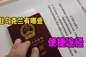 实拍乌克兰移民局办理过程，讲解流程及各个便捷途径vlog#职场人#视频封面