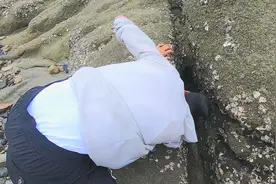 120一斤的海货喜欢躲在深石缝！小囿赶海带着长铁钩抓到不少