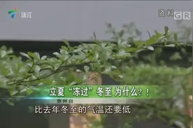 为什么广东2019立夏比冬至还冷？气象专家：厄尔尼诺视频封面