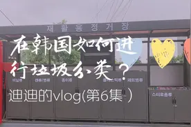 在韩国不做垃圾分类会被罚款6000人民币，错误分类还会被指责？视频封面