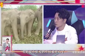 “青岛大姨”张海宇给大象配音，连哈欠声都配出来了视频封面