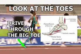 大脚趾蹬地锁定脚结构，蹬地时膝盖不要伸直，脚后跟不要抬过早!