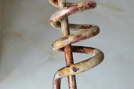 烧水的热得快生锈了，用这个方法去锈，让我们一起看看结果吧