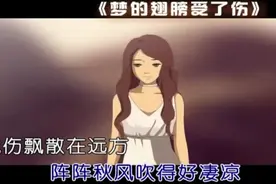 《梦的翅膀受了伤》蒋雪儿 MV原始版视频封面