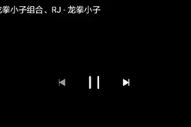 龙拳小子，音乐