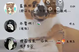 点击链接加入群聊【蓝依粉丝群】：https://jq.qq.com/?_wv=1027&视频封面