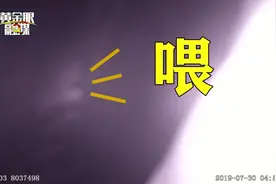 女司机高速上趟后座睡着，醉酒驾驶，还被一次性记了12分视频封面