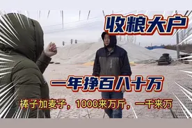 山东收粮大户今年收了1000多万斤的粮食，说挣个百八十万，不够花视频封面