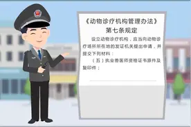 农业普法宣传片之动物诊疗机构视频封面