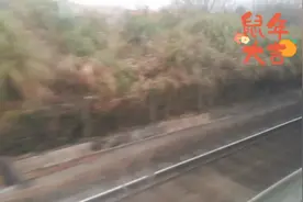 火车上人终于少了，打工仔也坐上座位了，没事看看窗外的风景。