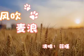 好听极了！一首《风吹麦浪》唯美歌声，飘荡在金色麦田视频封面