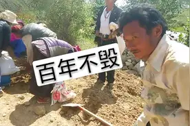 实拍西藏农村用泥土造房子，连水都不用，造出的房子屹立百年！视频封面