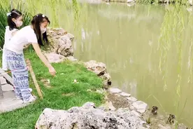 萌翻了！萌娃池塘喂萌萌的小鸭，可爱极了。日常溜娃，你也可以鸭视频封面