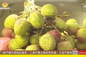 吃完荔枝会测出酒驾？吃多了会危害生命？实验测出真相！