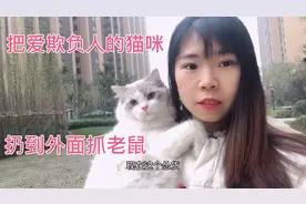 家里的大猫一直欺负小猫，今天把他带到外面抓老鼠，结果吓坏了