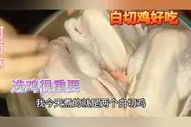 烧腊快餐店老板娘煮白切鸡，边操着，边讲解，学不会没办法