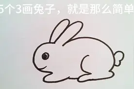 用5个3画兔子视频封面