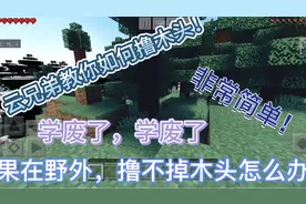 【我的世界】在野外如何撸木头？(老云办法多！)保证你能学废！