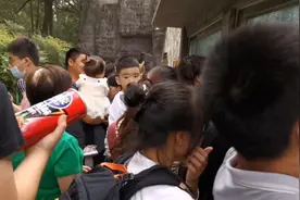 20元一个人。流量三万人左右，一天收入大概有多少？视频封面