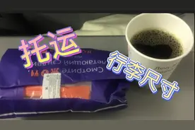 俄罗斯境内应该怎么坐飞机？讲讲行李托运那些事儿✈️✈️✈️视频封面