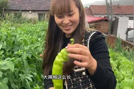 如何保存农村菜园蔬菜长期不坏，小媳妇这样做冬天吃和新鲜的一样