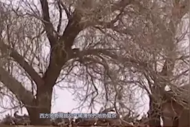 中国打造“第二条长江”，全长6188米，建成之后亿万人民将受益