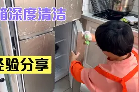 冰箱全面深度清洁，点子姐现场分享快速除冰方法，擦的真干净视频封面