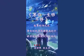 我就是个傻子！！！