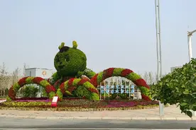 郑州奥体中心，能容纳6万观众，全国能排第几？申报奥运可以吗？视频封面