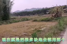 我们当地政府投资300多亩旱田垦造水田，看看有多大的一个工程？视频封面